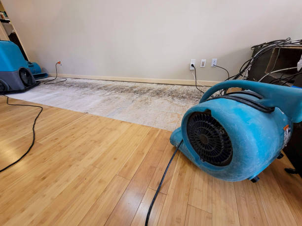 Professional Flood Damage Cleanup technician working in Saint Georges, DE